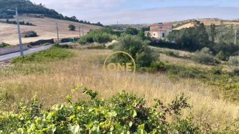 Terreno para Venda em Igreja Nova e Cheleiros