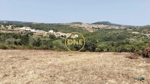 Terreno para Venda em Igreja Nova e Cheleiros