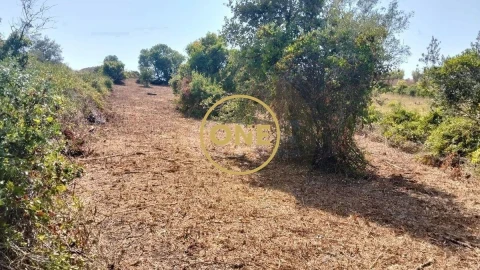 Terreno para Venda em Igreja Nova e Cheleiros