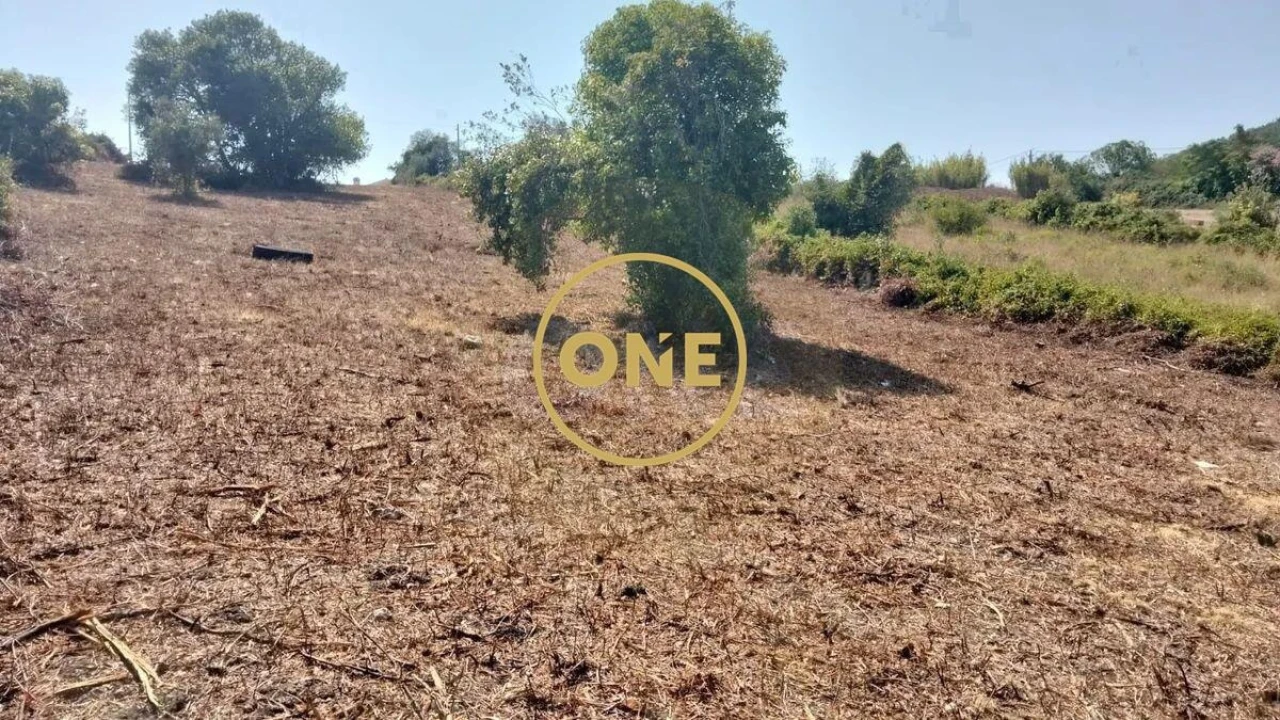 Terreno para Venda em Igreja Nova e Cheleiros Foto 25