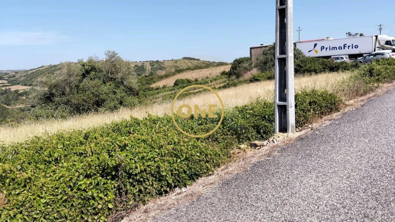 Terreno para Venda em Igreja Nova e Cheleiros Foto 7