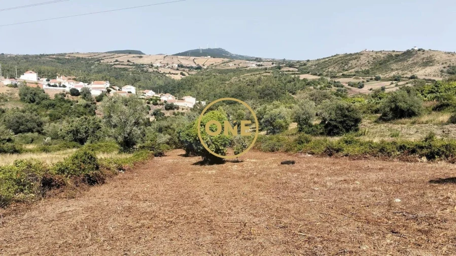 Terreno para Venda em Igreja Nova e Cheleiros Foto 19