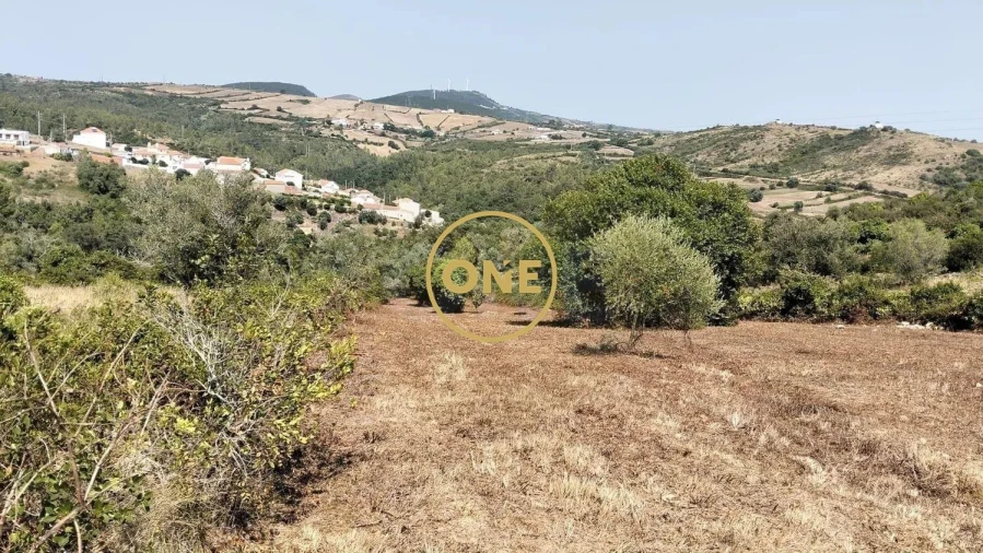 Terreno para Venda em Igreja Nova e Cheleiros Foto 21