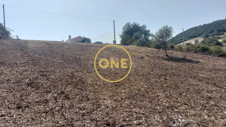 Terreno para Venda em Igreja Nova e Cheleiros Foto 27