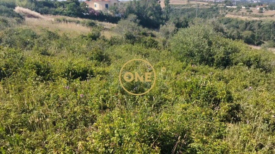 Terreno para Venda em Igreja Nova e Cheleiros Foto 15