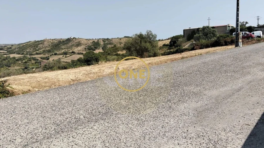 Terreno para Venda em Igreja Nova e Cheleiros Foto 6