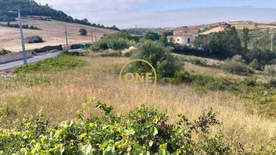 Terreno para Venda em Igreja Nova e Cheleiros Foto 10