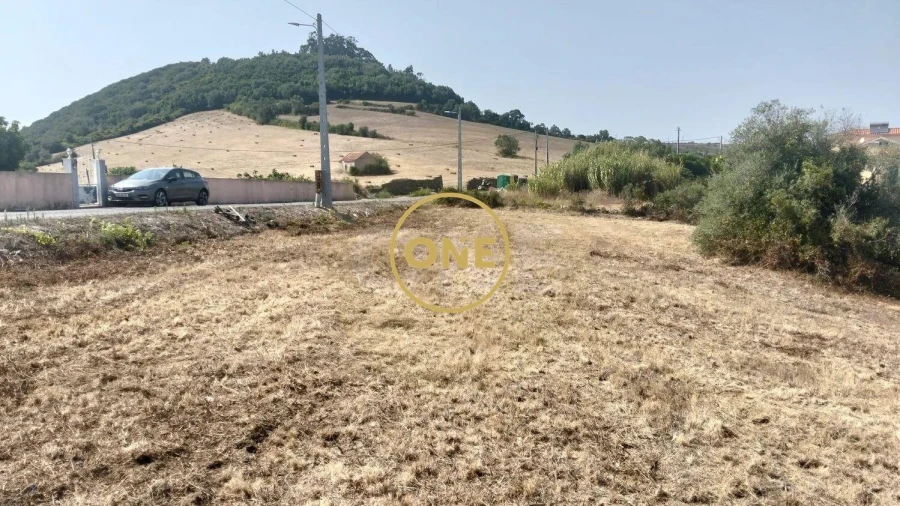 Terreno para Venda em Igreja Nova e Cheleiros Foto 16