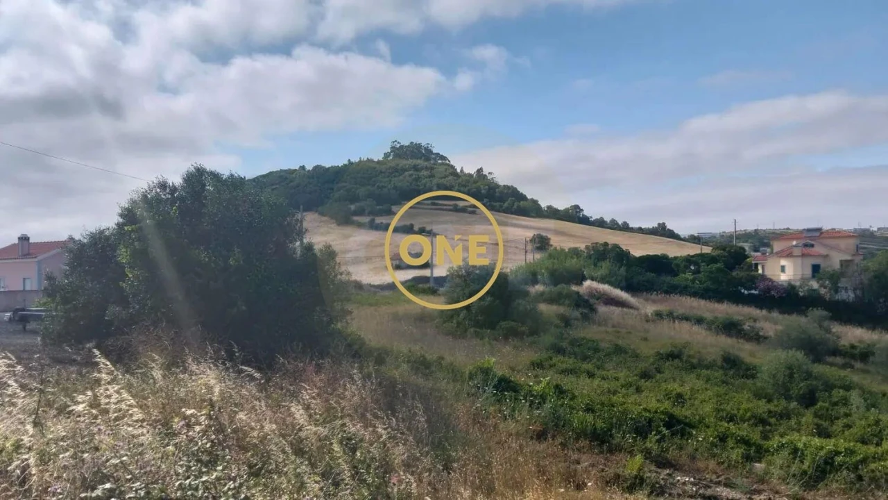 Terreno para Venda em Igreja Nova e Cheleiros Foto 16