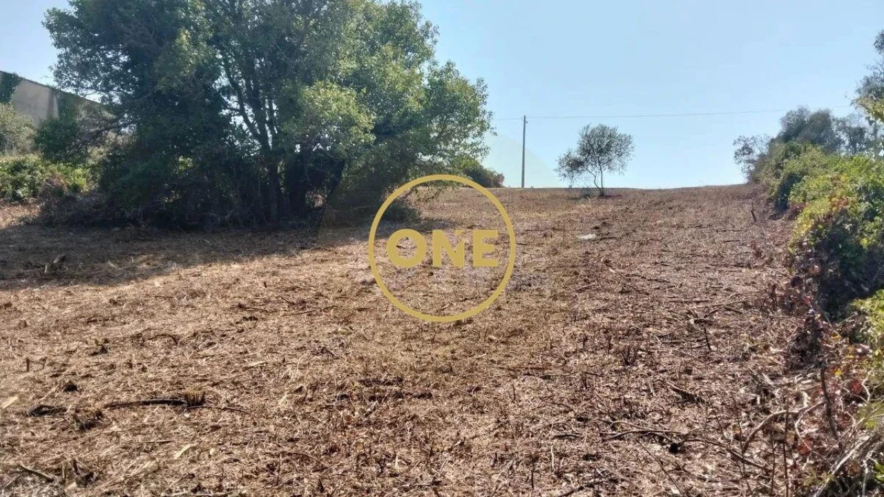 Terreno para Venda em Igreja Nova e Cheleiros Foto 26