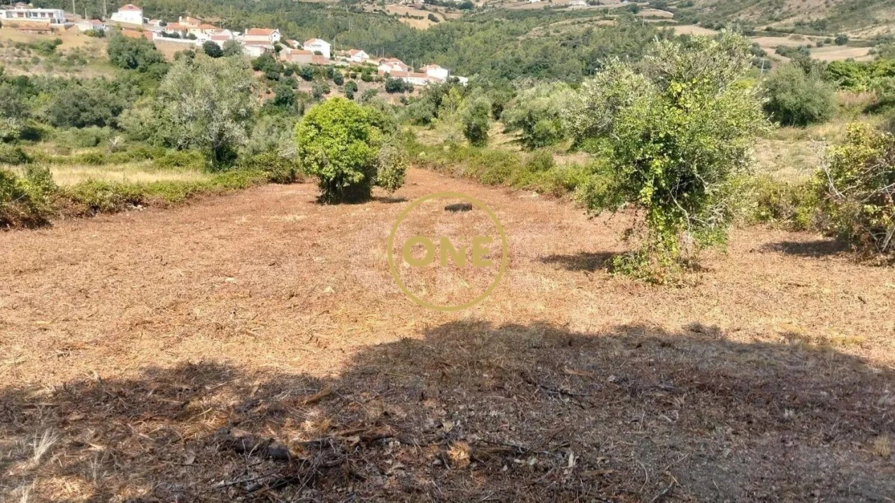 Terreno para Venda em Igreja Nova e Cheleiros Foto 23