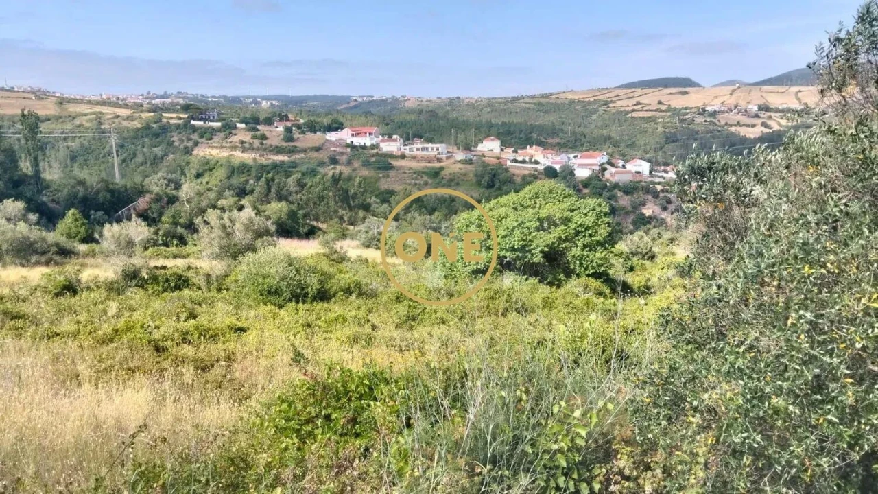 Terreno para Venda em Igreja Nova e Cheleiros Foto 17