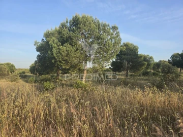Terreno para Venda em Ourique