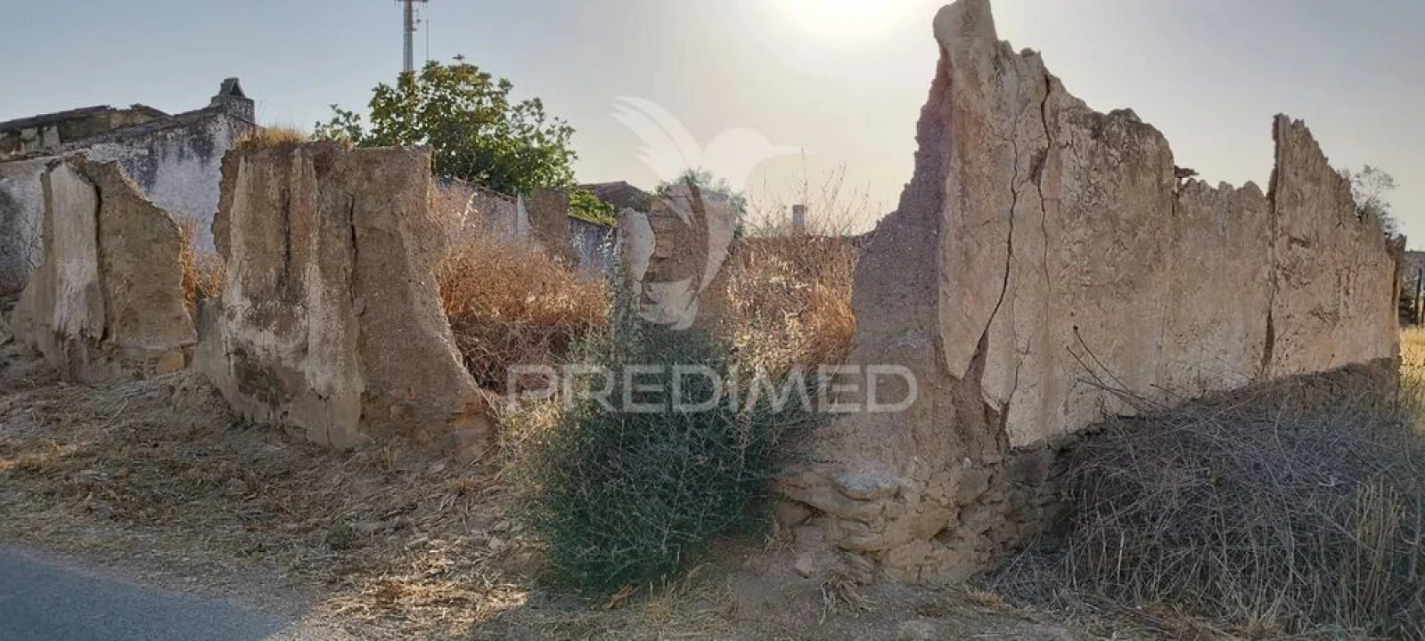 Terreno para Venda em Ourique Foto 10