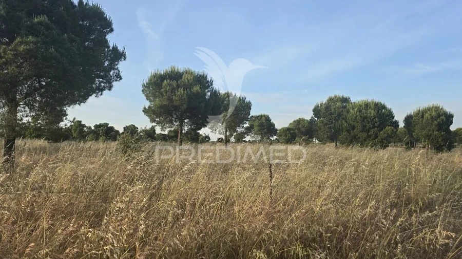 Terreno para Venda em Ourique