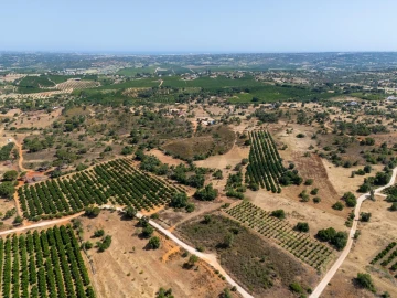 Terreno para Venda em Silves