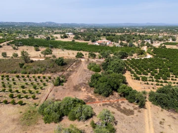 Terreno para Venda em Silves
