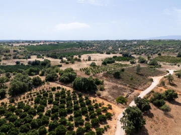 Terreno para Venda em Silves