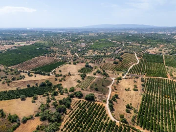 Terreno para Venda em Silves
