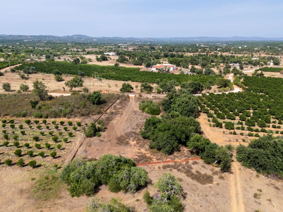 Terreno para Venda em Silves Foto 7