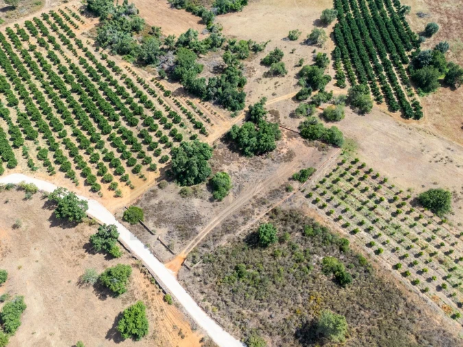 Terreno para Venda em Silves Foto 8