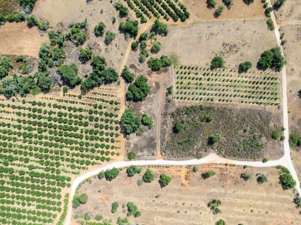 Terreno para Venda em Silves Foto 2
