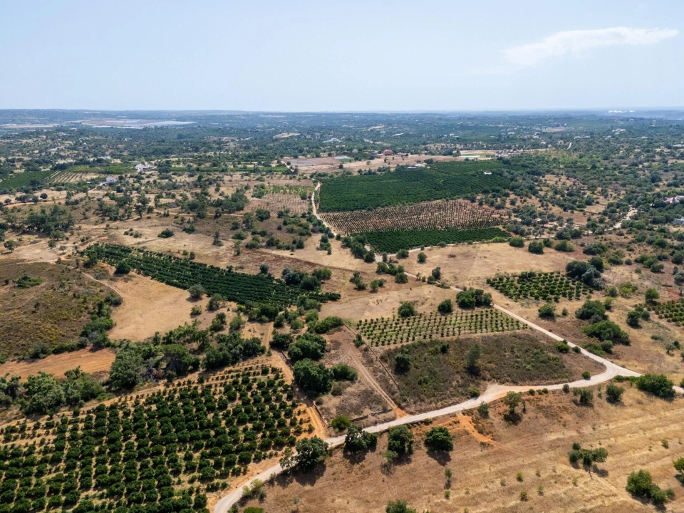 Terreno para Venda em Silves Foto 11