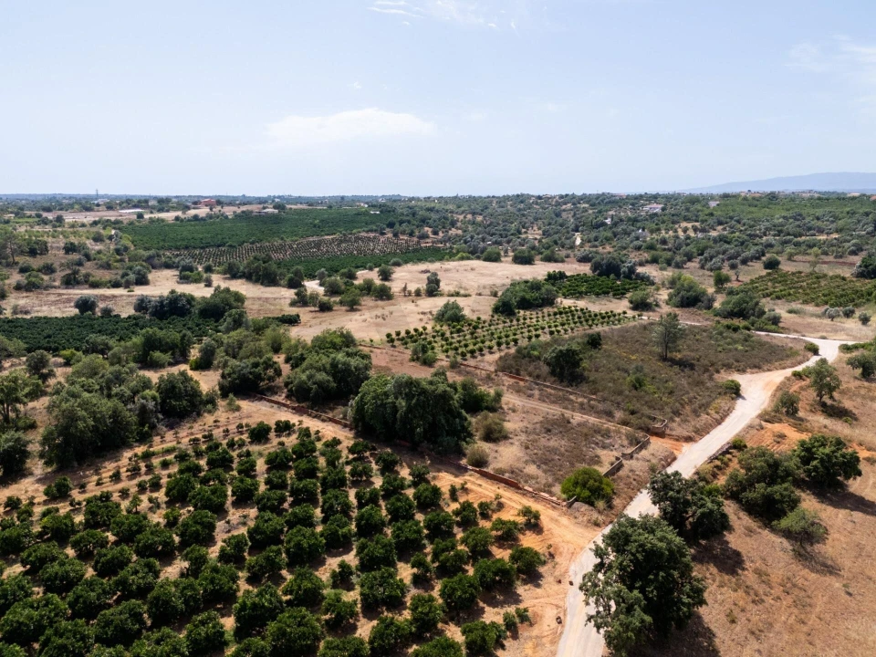 Terreno para Venda em Silves Foto 4