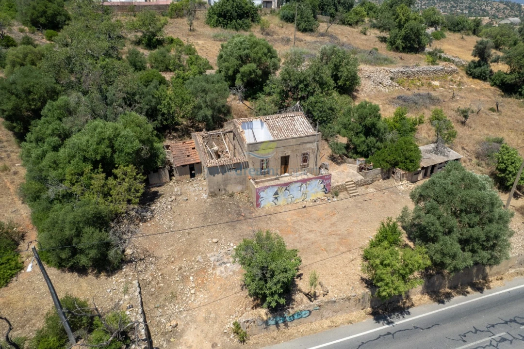 Terreno Misto para Venda em Ferreiras Foto 2