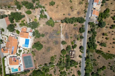 Terreno Misto para Venda em Ferreiras