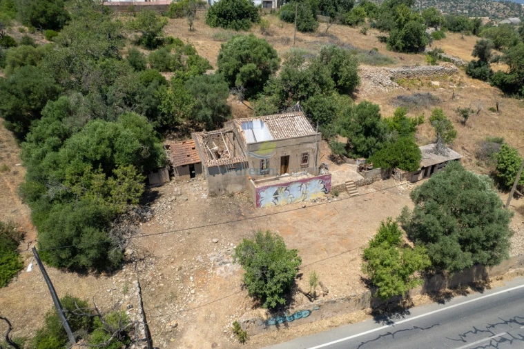 Terreno Misto para Venda em Ferreiras Foto 2