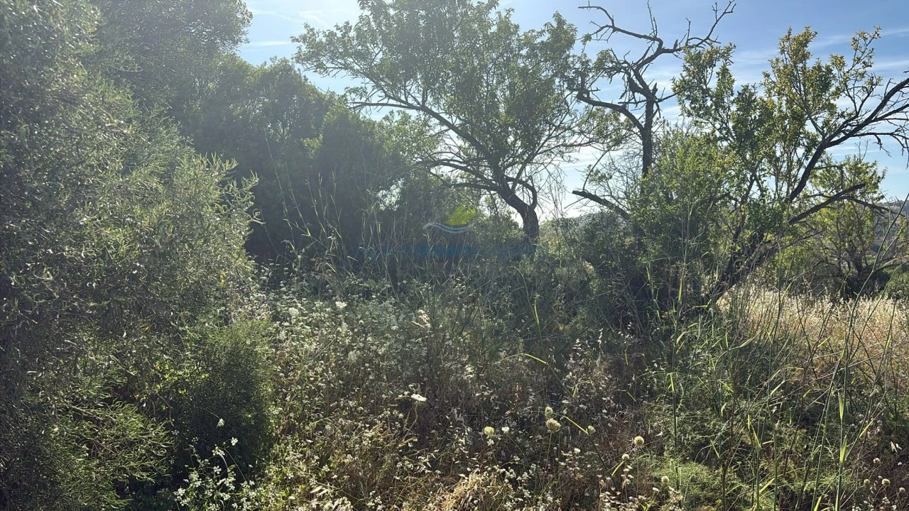 Terreno Misto para Venda em Paderne Foto 3