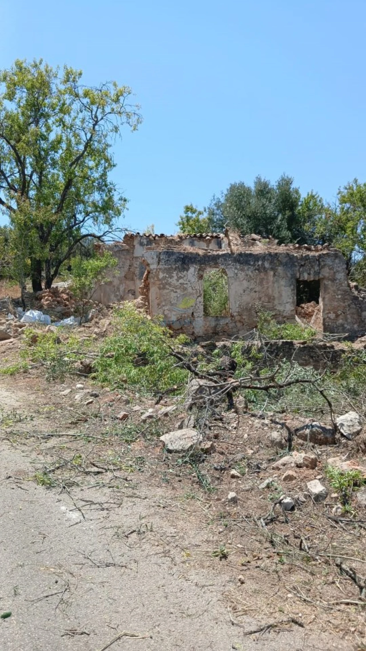 Terreno Misto para Venda em Ferreiras Foto 4