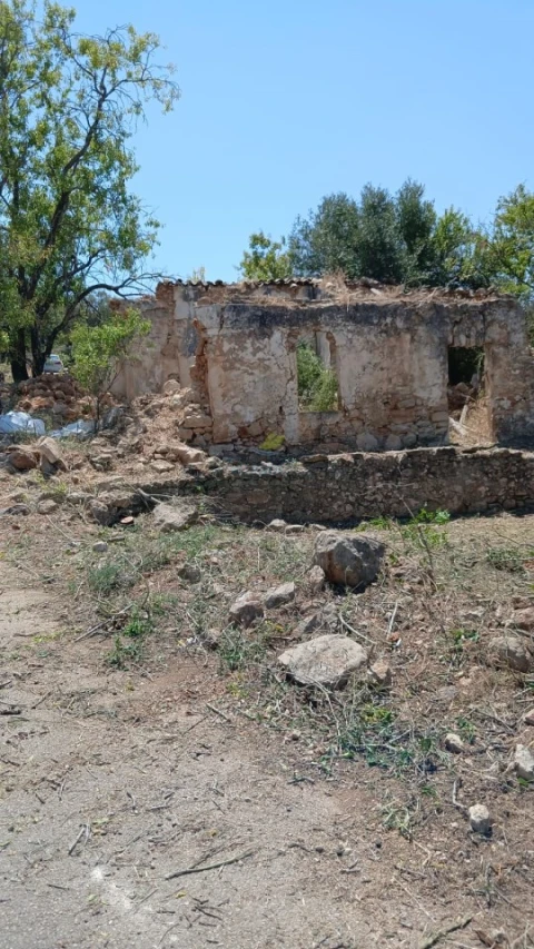 Terreno Misto para Venda em Ferreiras