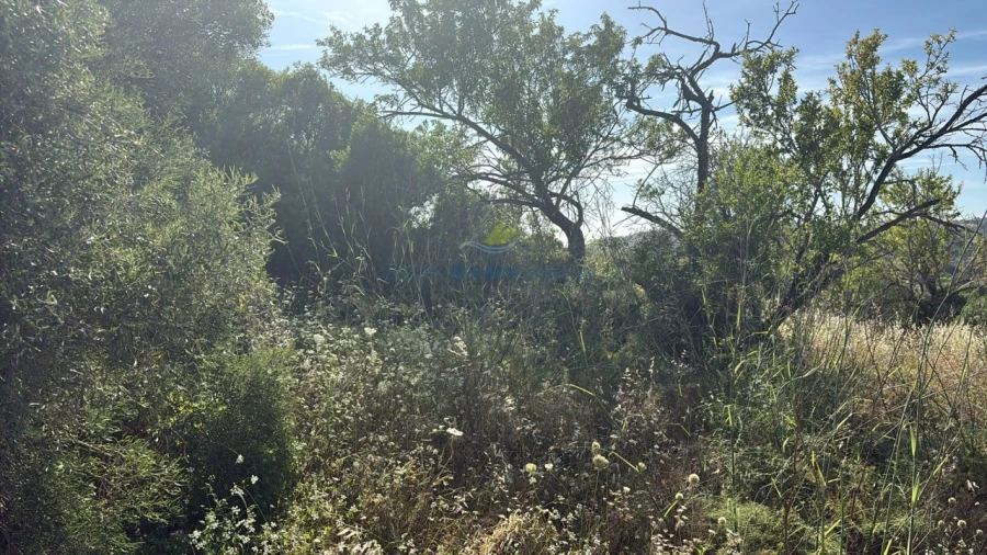 Terreno Misto para Venda em Paderne Foto 3