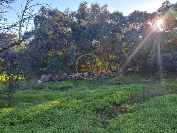 Terreno para Venda em São Brás de Alportel