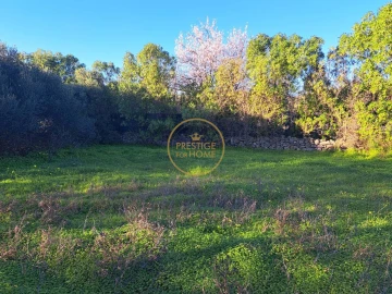 Terreno para Venda em São Brás de Alportel