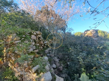 Terreno para Venda em São Brás de Alportel