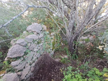 Terreno para Venda em São Brás de Alportel