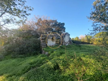 Terreno para Venda em São Brás de Alportel