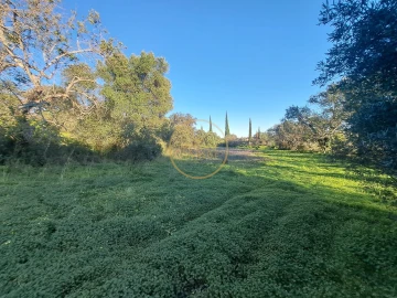 Terreno para Venda em São Brás de Alportel