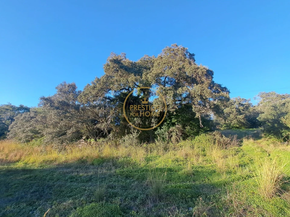 Terreno para Venda em São Brás de Alportel Foto 9