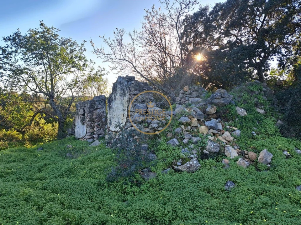 Terreno para Venda em São Brás de Alportel Foto 1