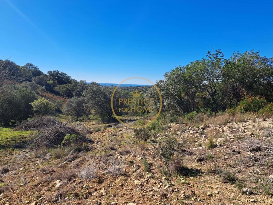 Terreno para Venda em Loule (São Clemente) Foto 6