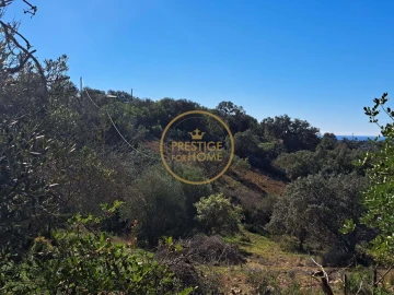 Terreno para Venda em Loule (São Clemente)