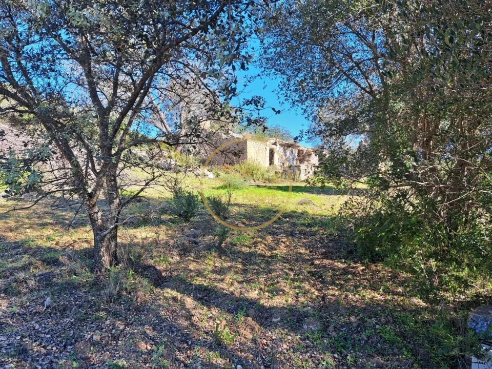 Terreno para Venda em Loule (São Clemente) Foto 21