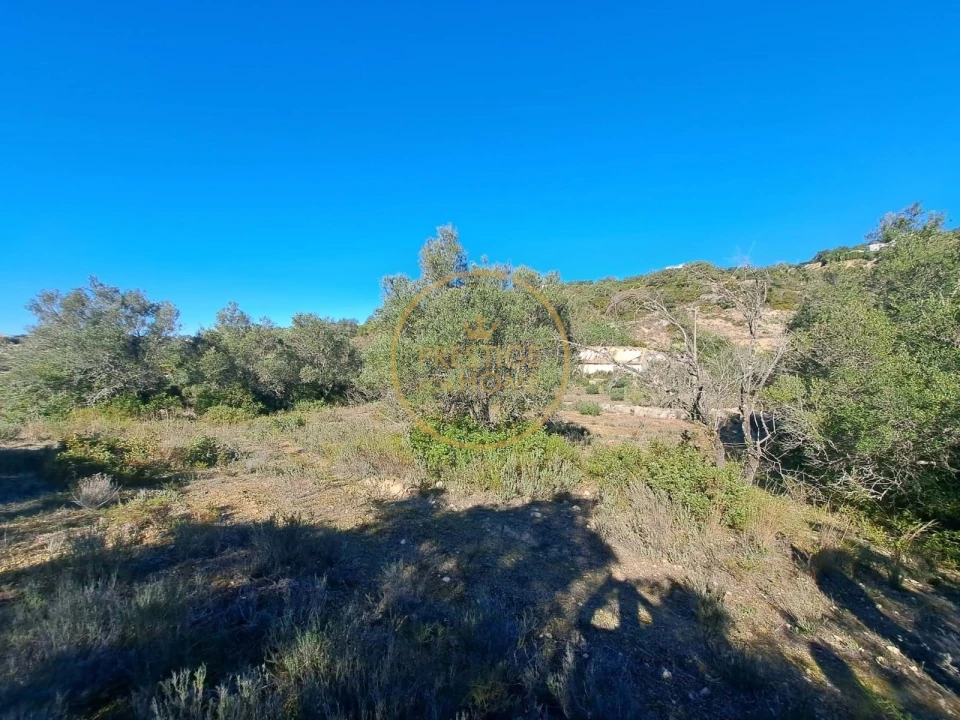 Terreno para Venda em Loule (São Clemente) Foto 18