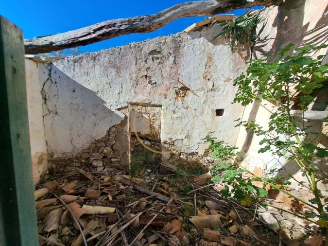 Terreno para Venda em Loule (São Clemente) Foto 15