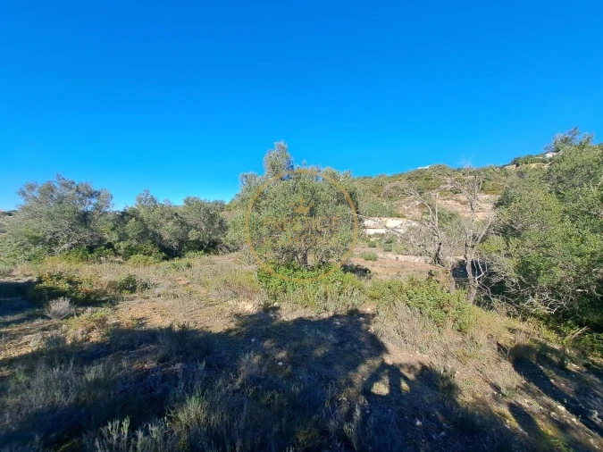 Terreno para Venda em Loule (São Clemente) Foto 18