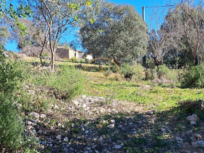Terreno para Venda em Loule (São Clemente) Foto 17